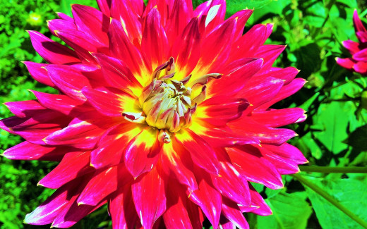 966143 (a): :2560x1600